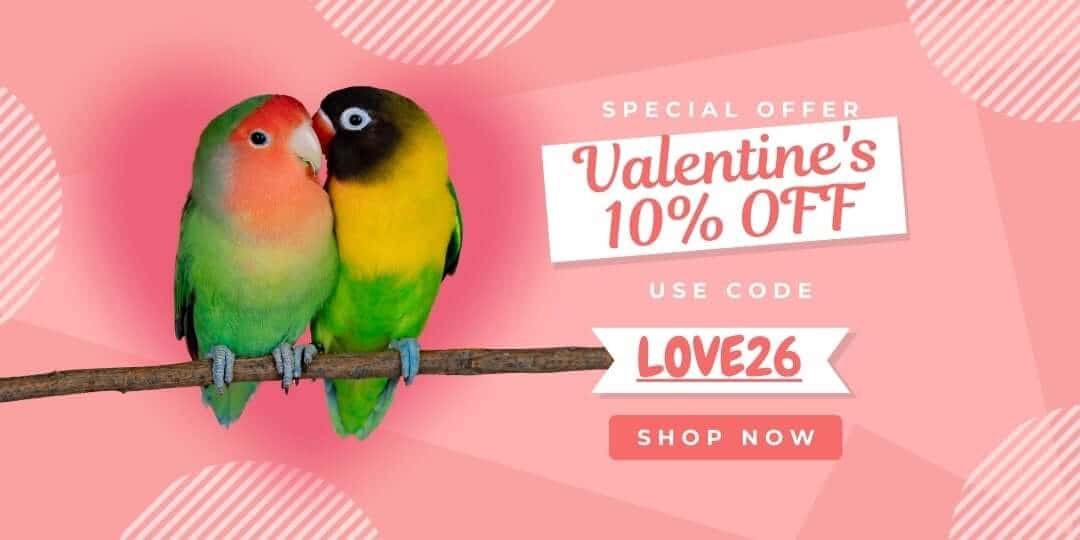 10% OFF Valentine's Specials