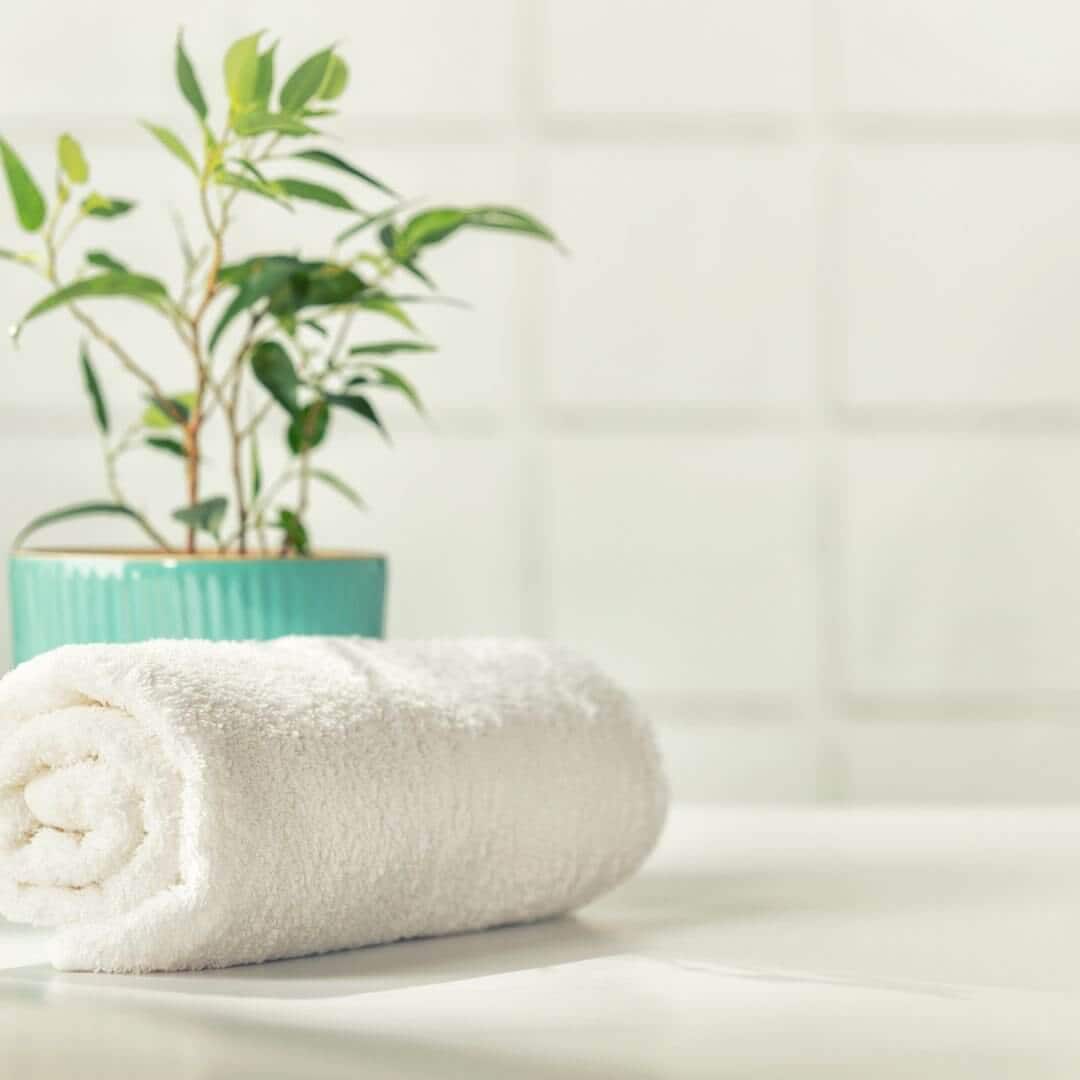 probiotic cleaners by Hyve