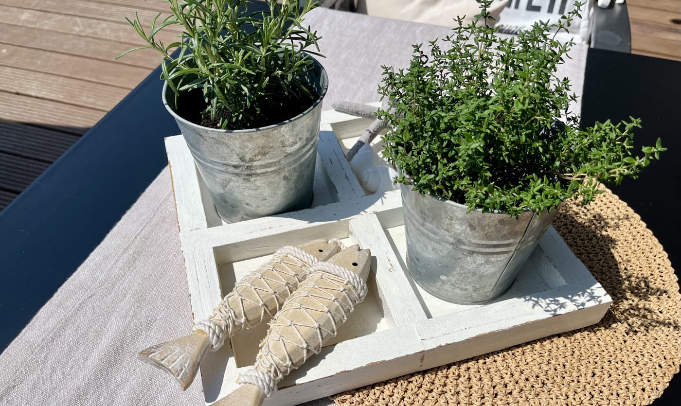 Easy-Sticks Bastelidee: Deko-Setzkasten im Shabby-Style