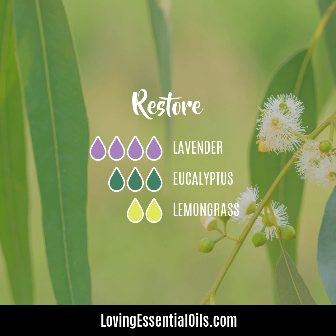 Restore lemongrass lavender diffuser blend with eucalyptus by Loving Essential Oils