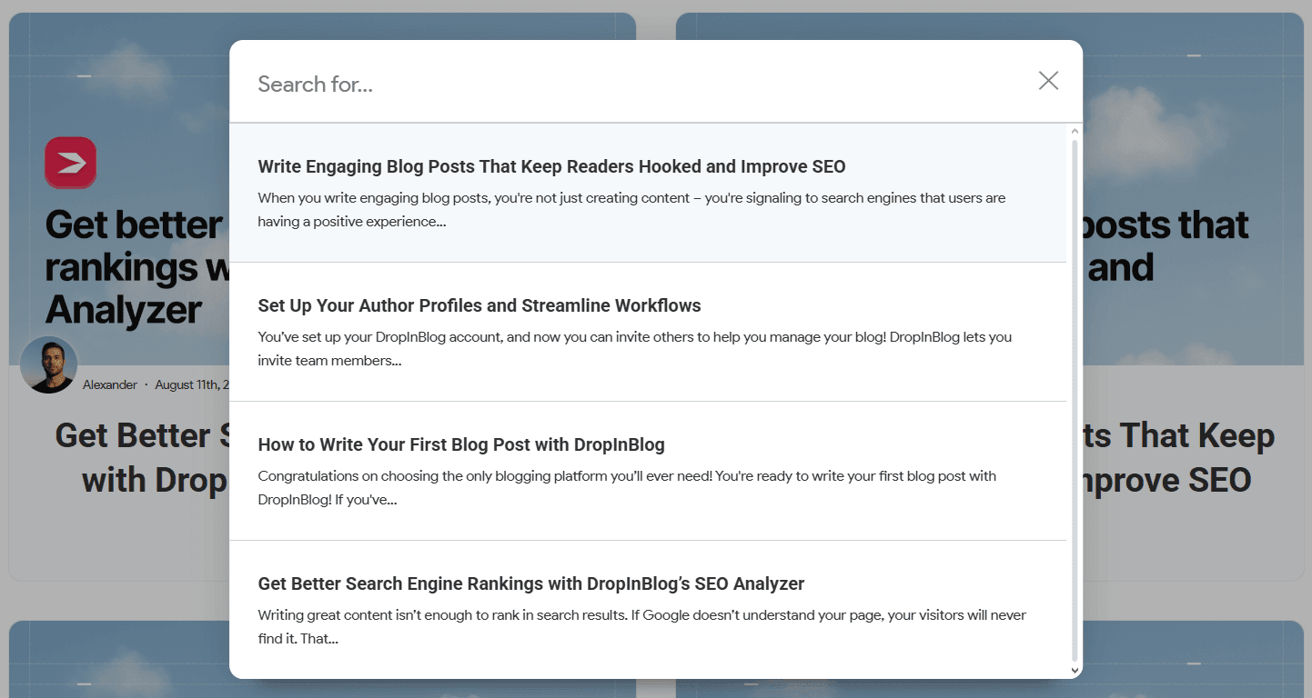 Blog search functionality in DropInBlog