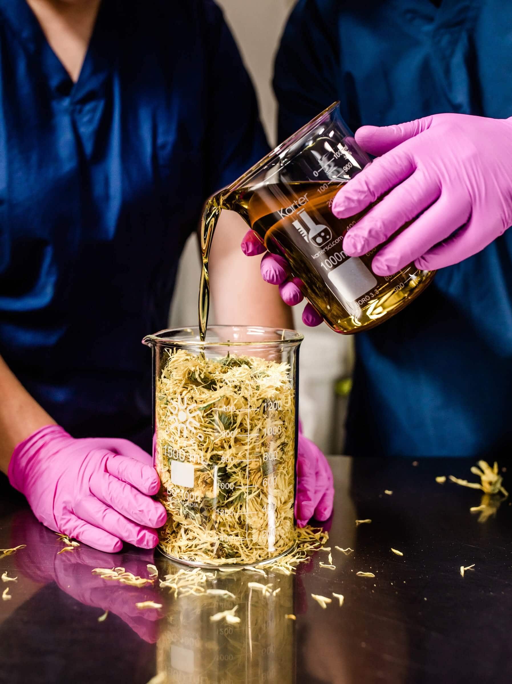 Refined vs unrefined oils. Unrefined oil being poured over dried flowers.