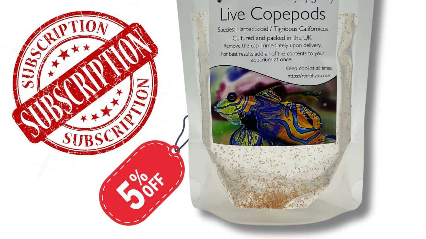 How Many Copepods Should I Add to My Tank?