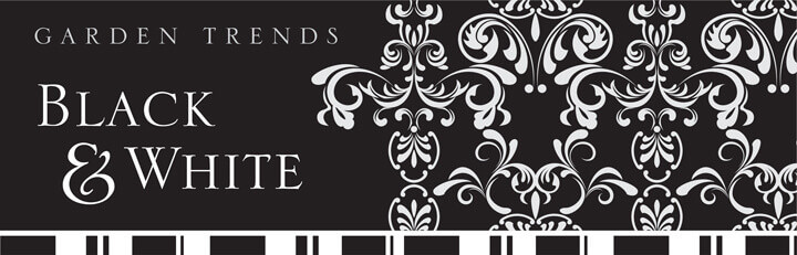 Color Trends - Black and White In Your Garden