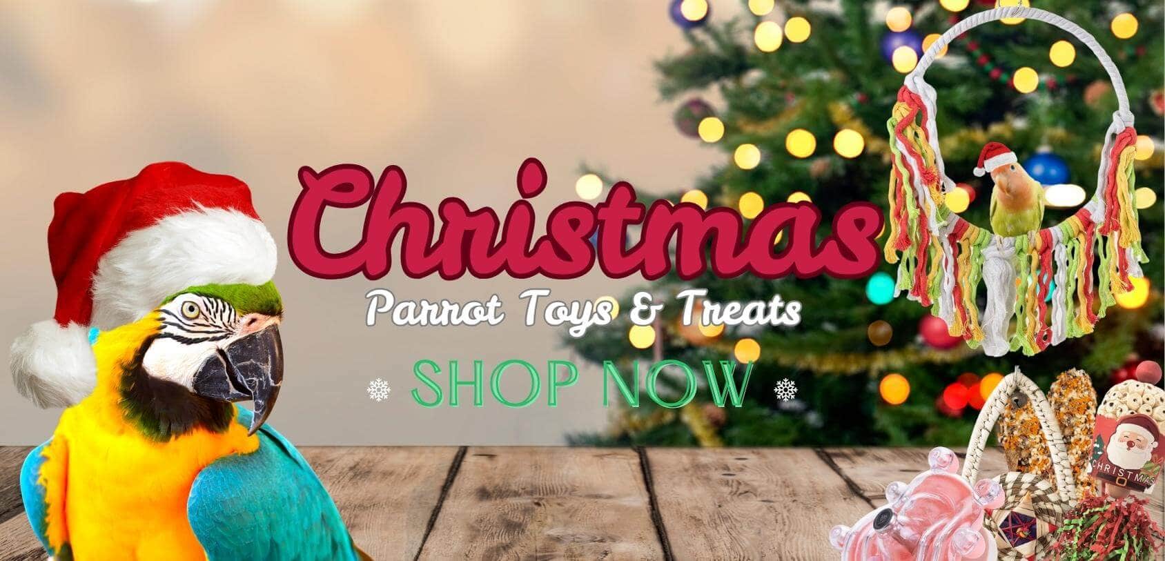 Christmas Parrot Toys & Treats