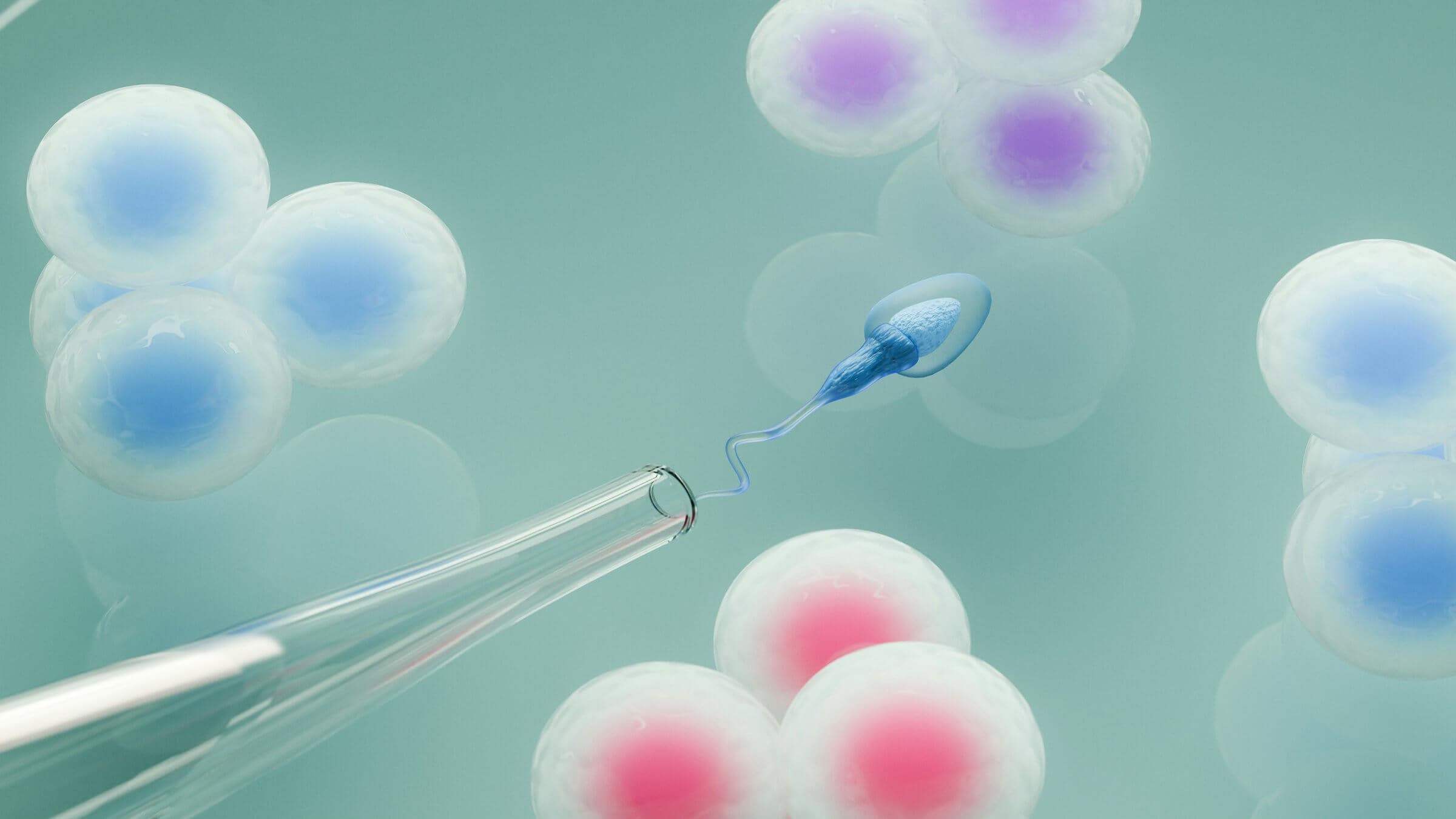 semen-test