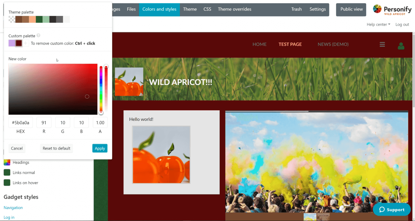 What is Wild Apricot: site builder and page editor