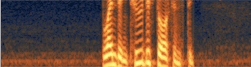 Hiss shown on a spectrogram