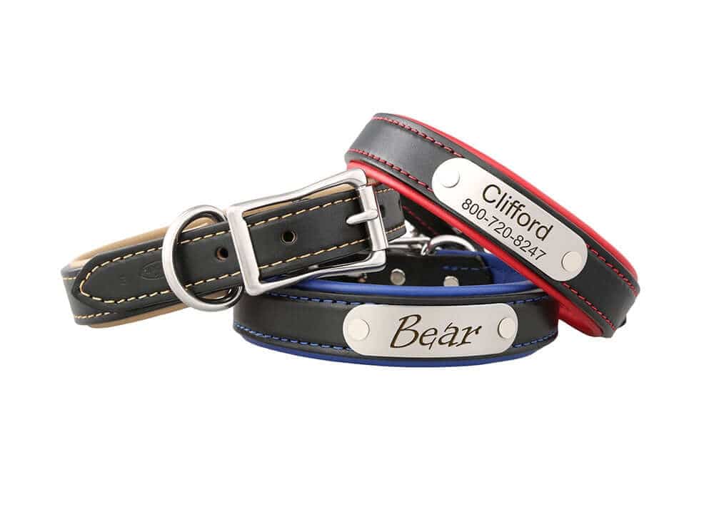 leather collars with rivet-on name plate attached