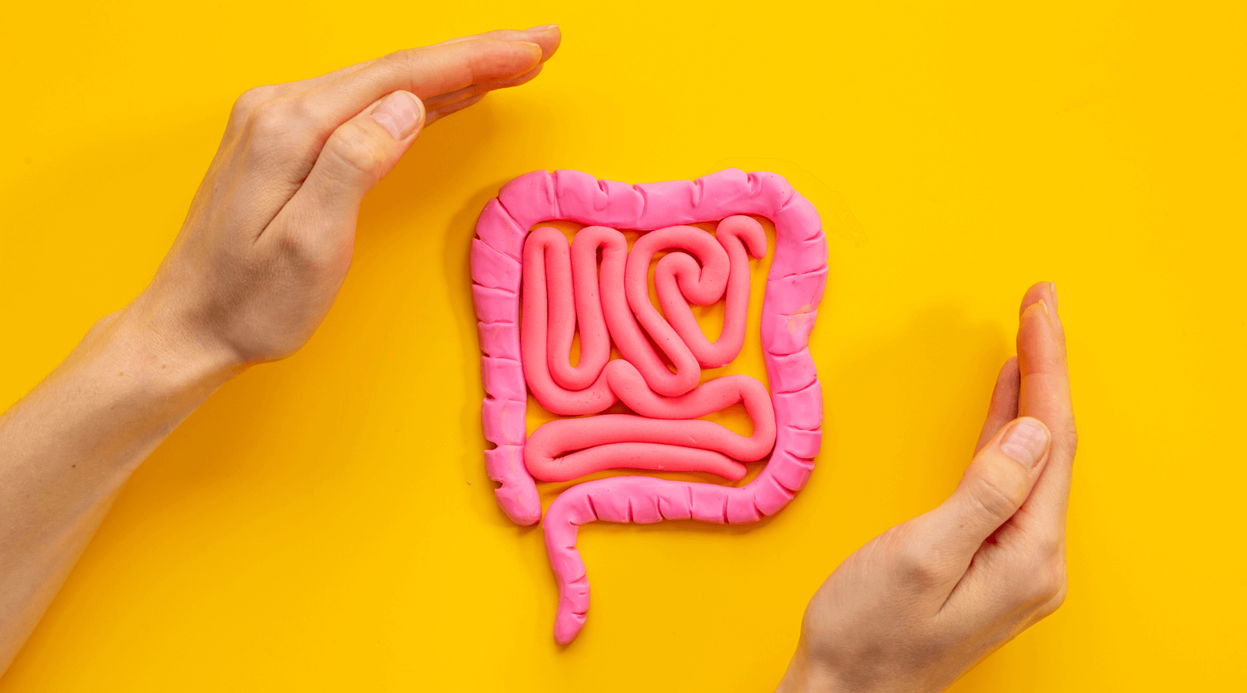 Leaky Gut Explained: Causes, Symptoms & How to Support Gut Healing