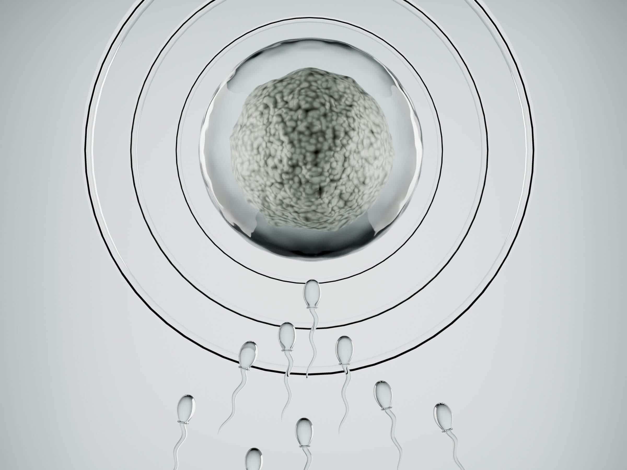 Total Motile Sperm Count
