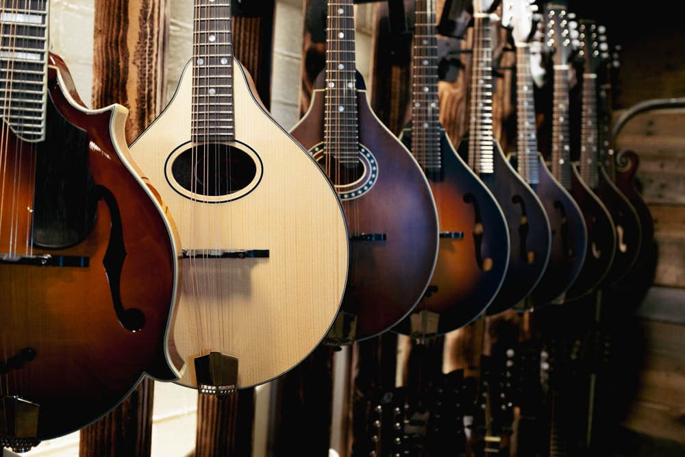 Row of F-style and A-style mandolins in sunburst and natural finishes on the showroom wall