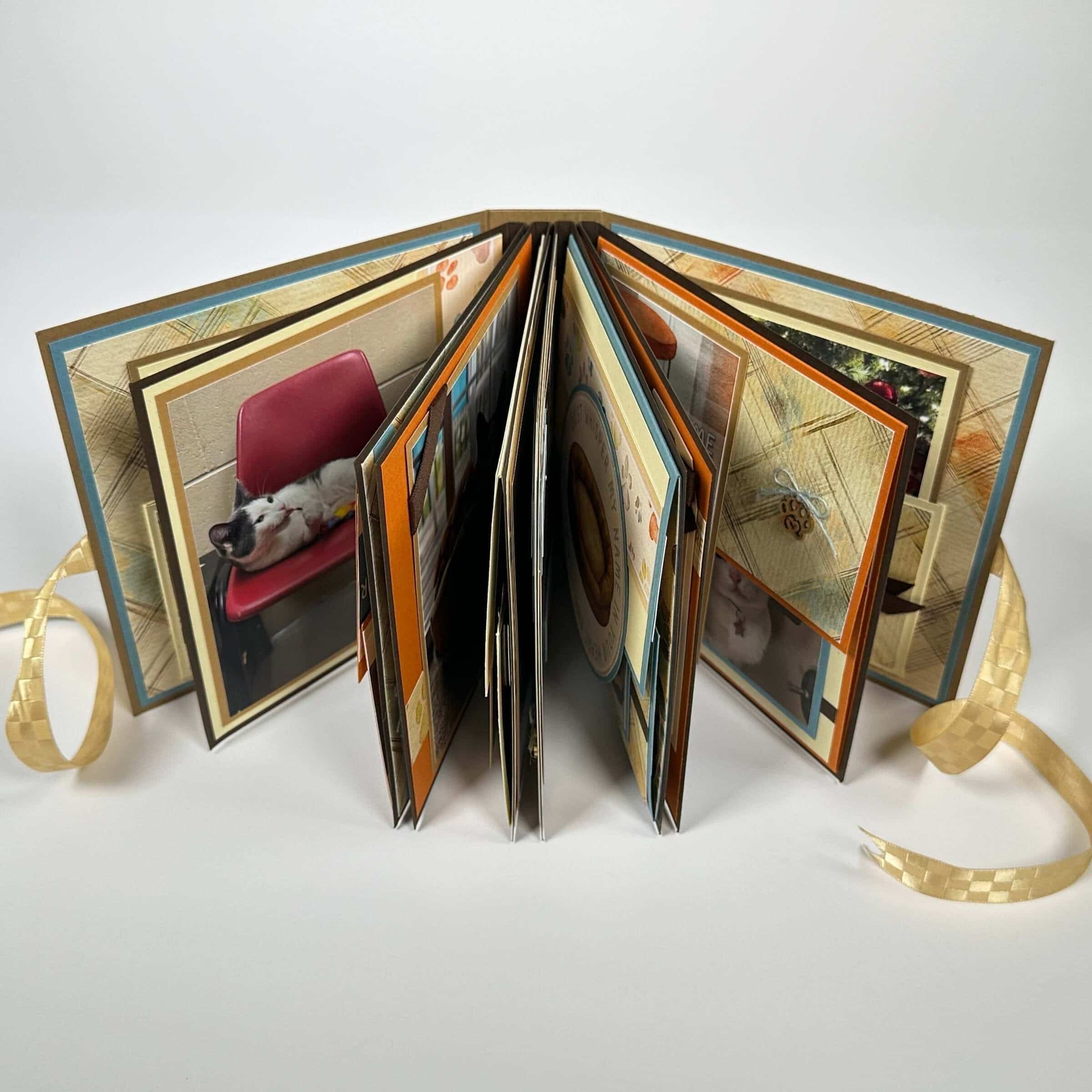 MEMBER Album + Wags and Whiskers = The Purr-fect Keepsake!