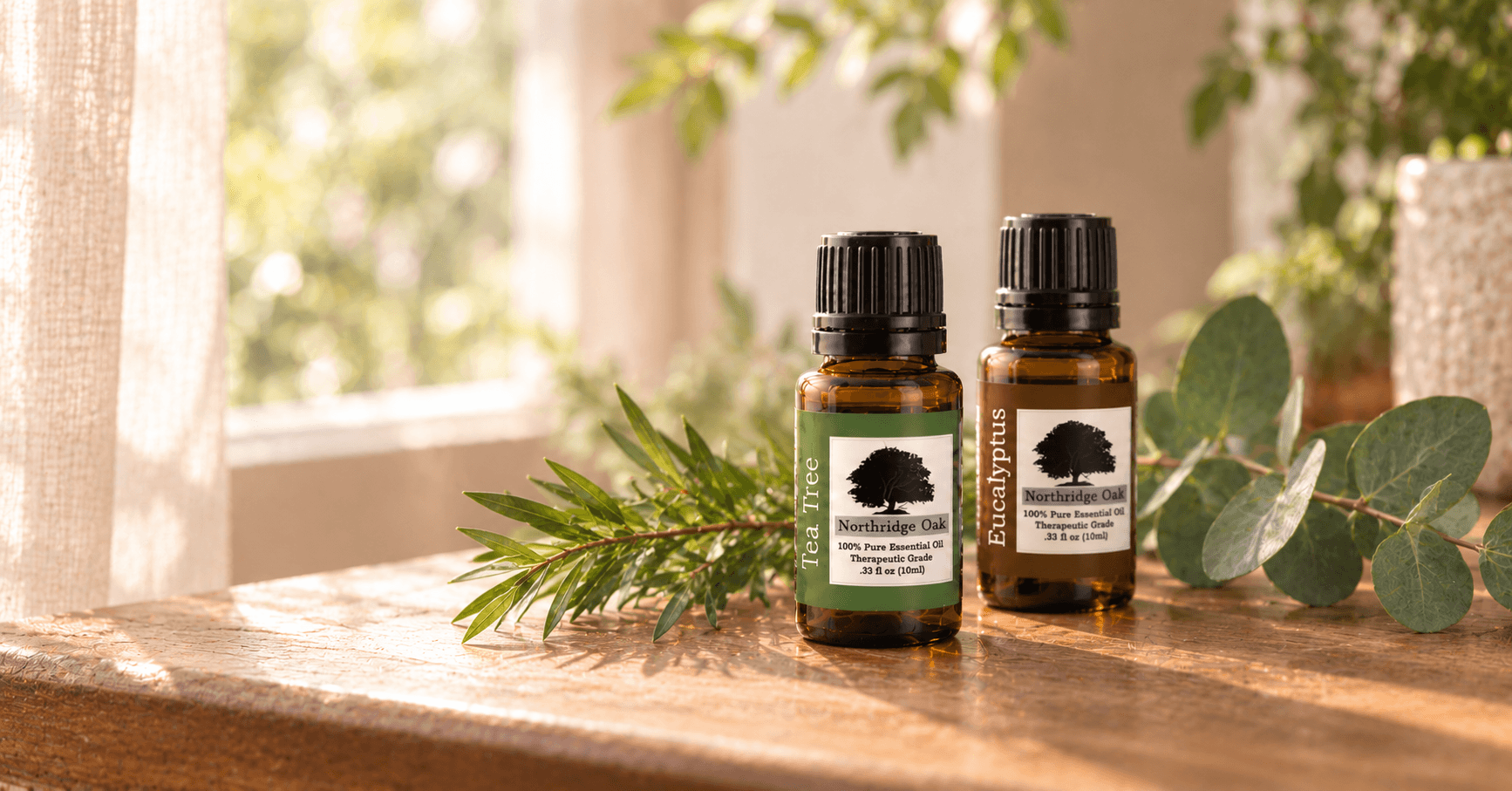 Tea Tree Oil vs Eucalyptus Oil: Uses, Scent and Blends