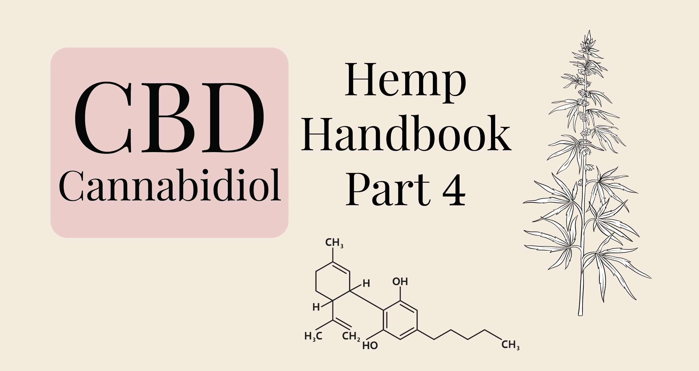 What is CBD, cannabidiol and hemp botanical illustration