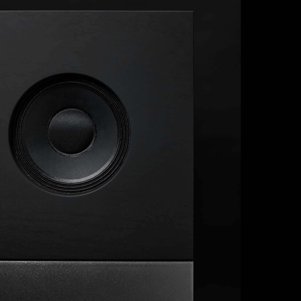 The Celestion coaxial driver with a compression tweeter delivering precise, detailed sound.