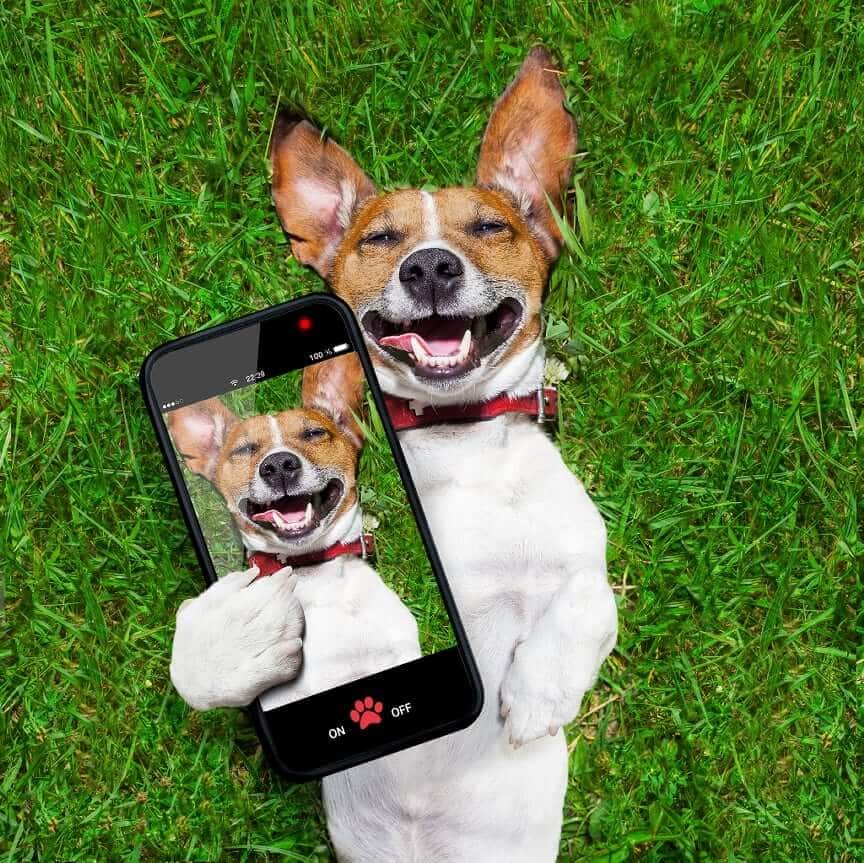 BYOD Is All Rainbows And Unicorns Until This Happens!