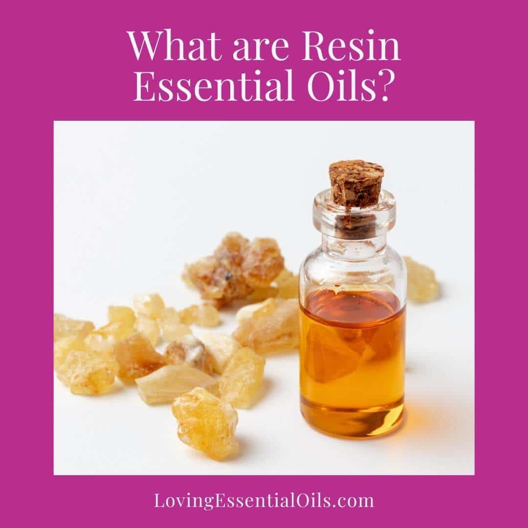 Resin essential oils uses and benefits by Loving Essential Oils