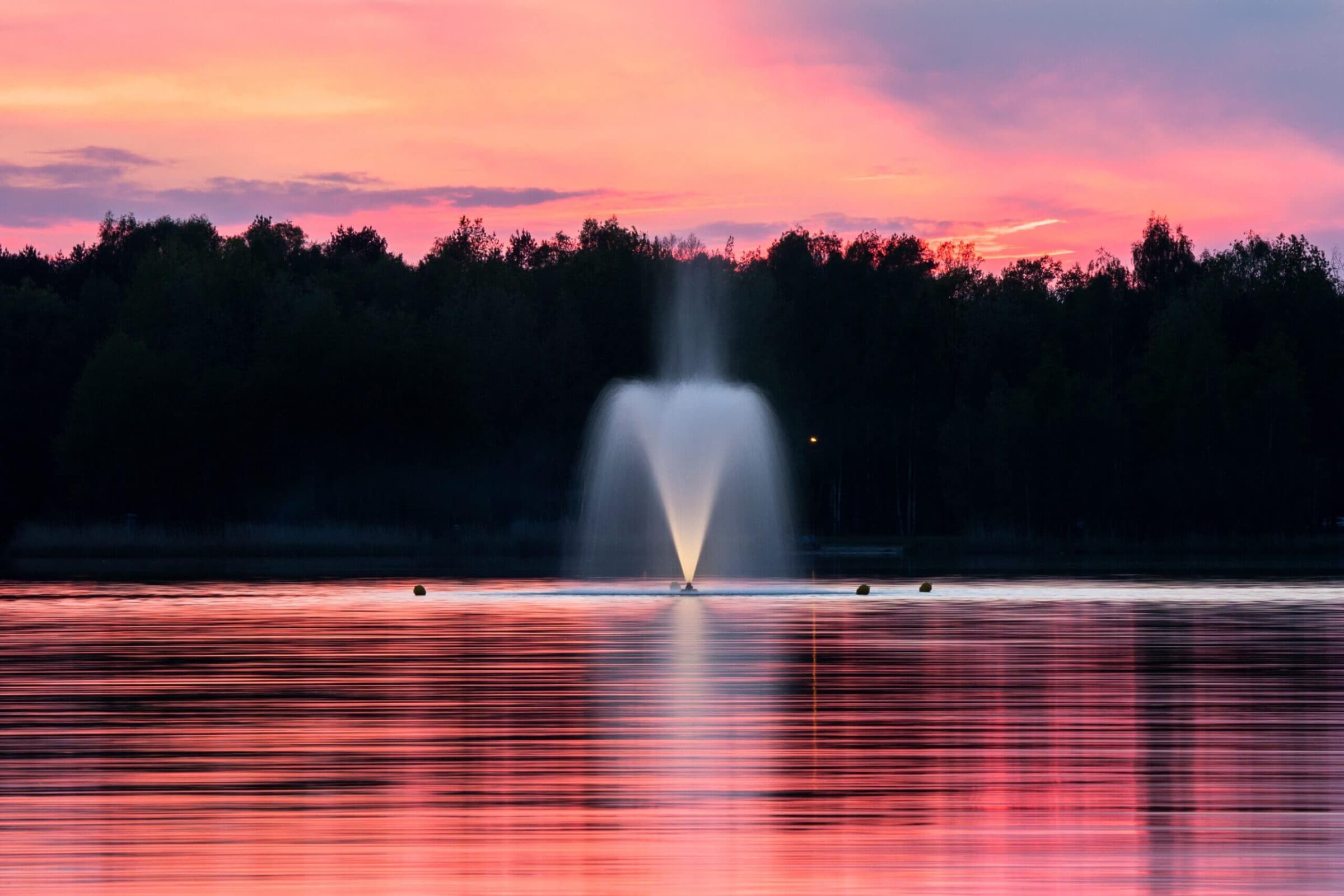 Photo by Dawid Zawiła on Unsplash