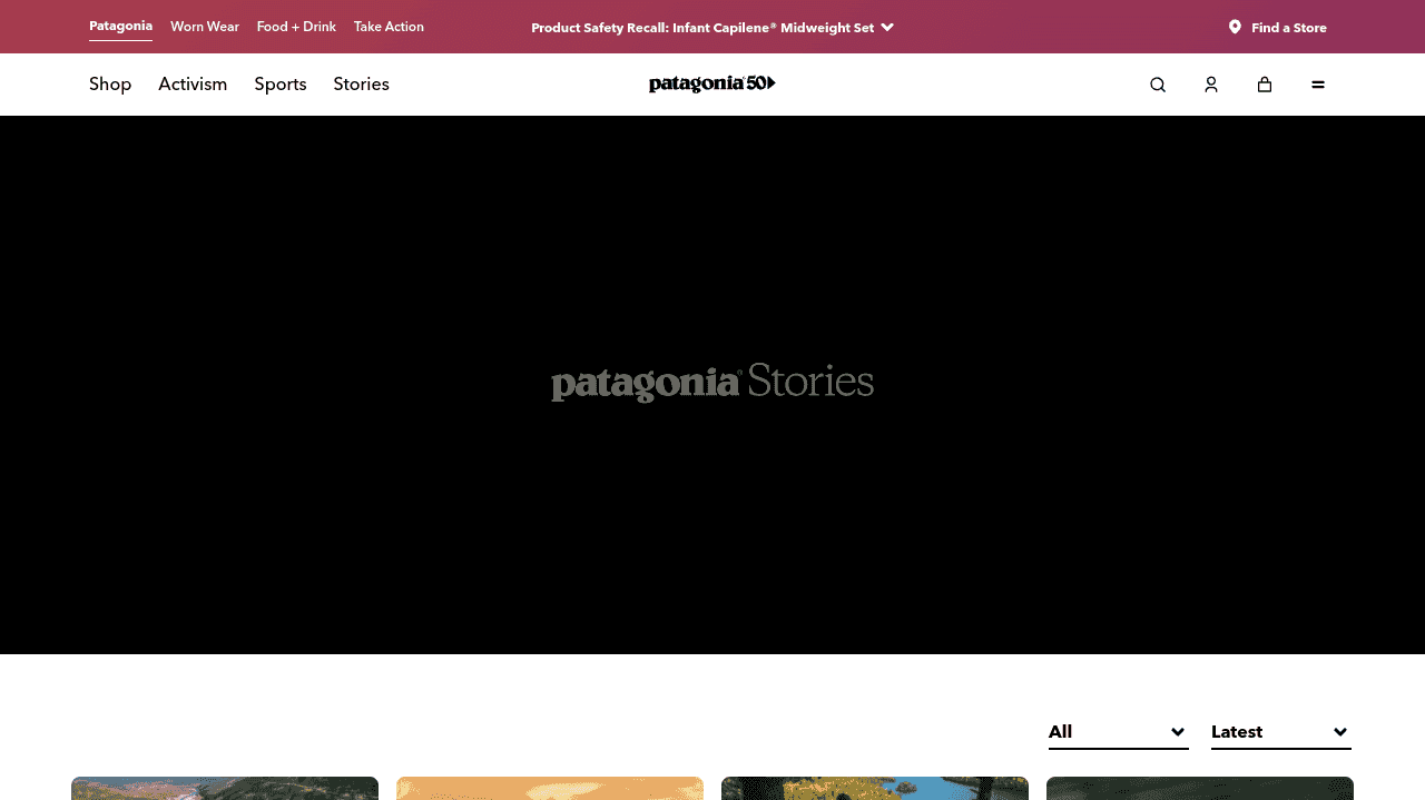 Business blog examples: Patagonia