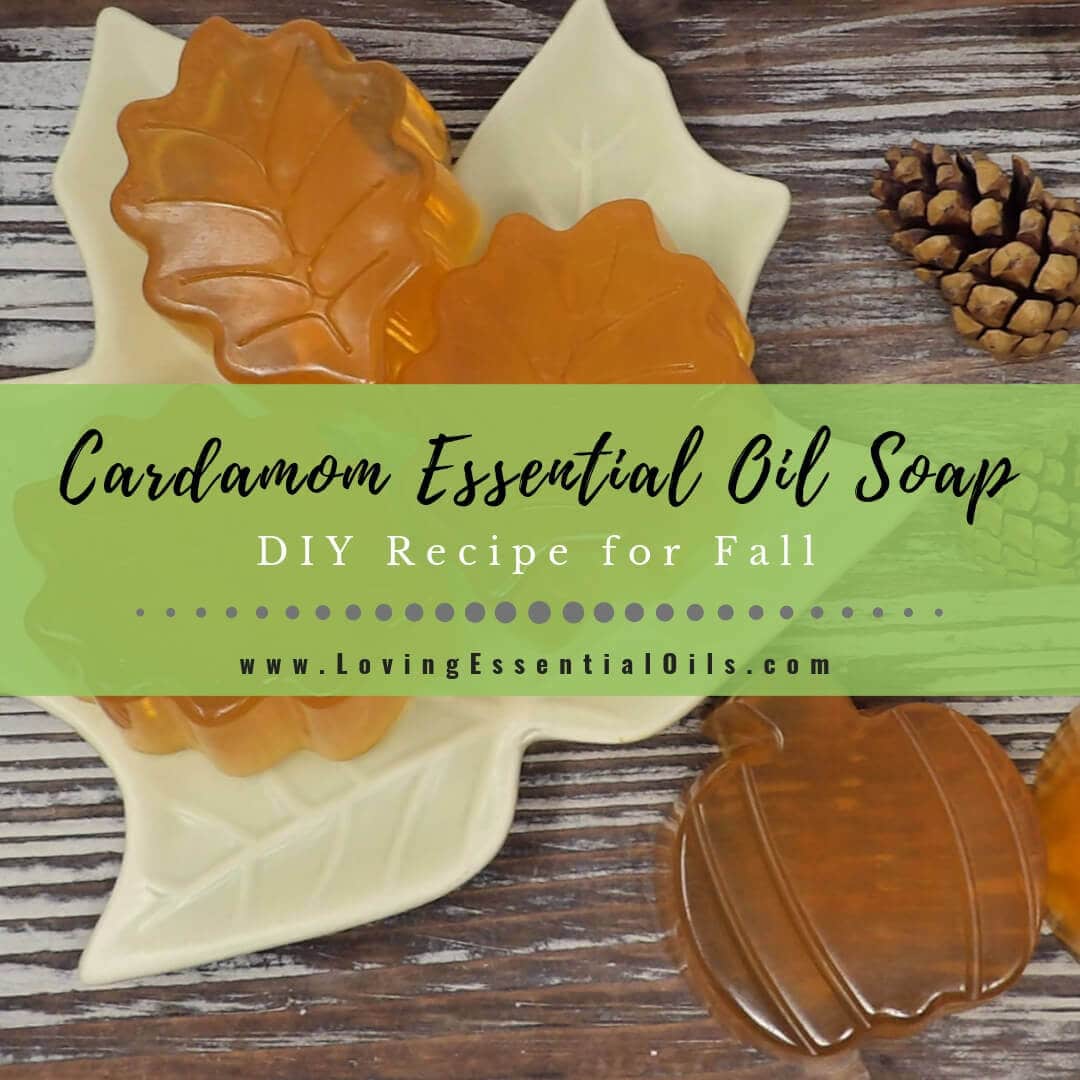 DIY Cardamom Essential Oil Soap Recipe - Melt and Pour