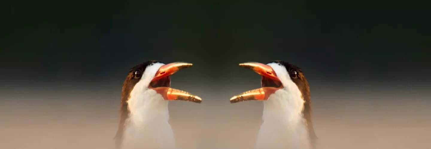 Understanding Loudness in Audio Mastering