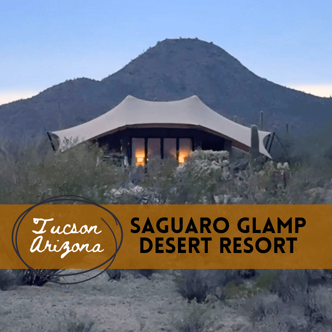 Saguaro Glamp Desert Resort