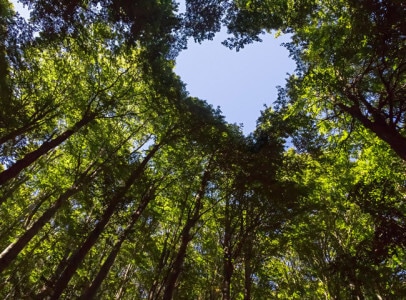 5 Biodegradable Wet Wipes that Support Environmental Health