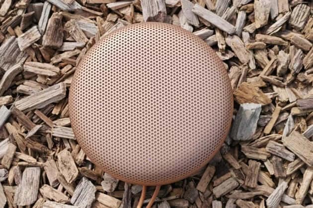 B&O Beosound A1 3rd Gen