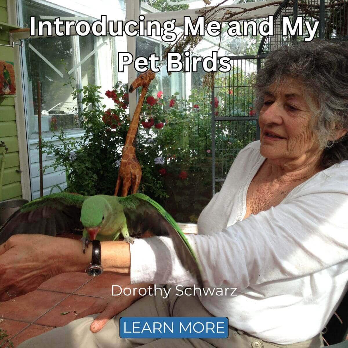 Introducing Me and My Pet Birds – Dorothy Schwarz