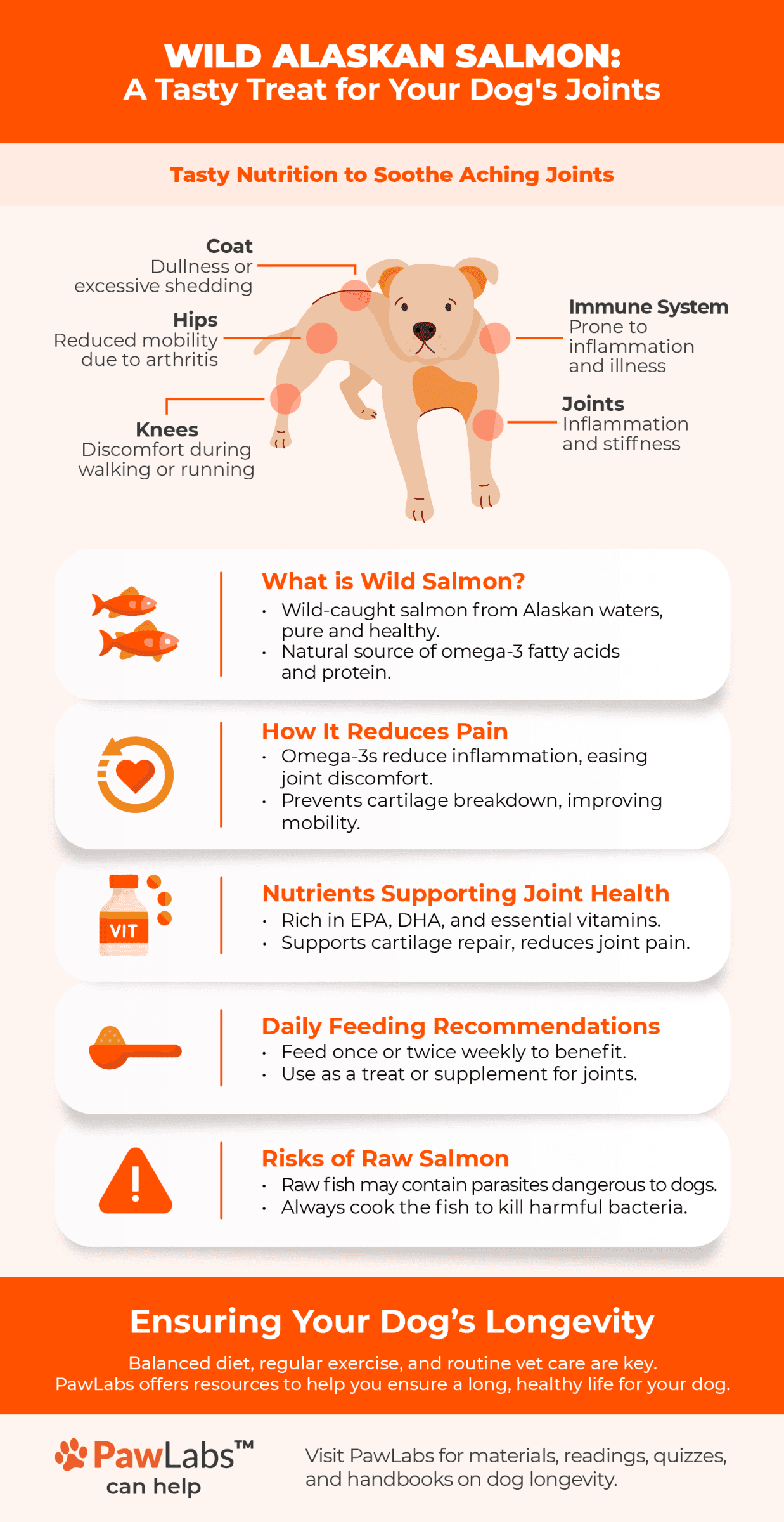 wild alaskan salmon infographic
