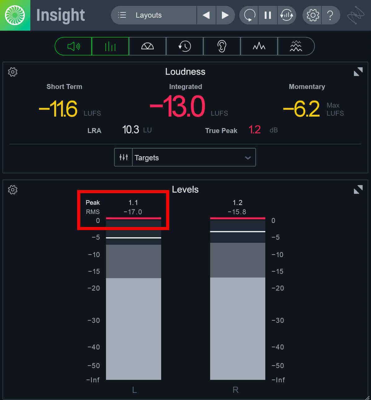 Insight Pro’s RMS level and peak level readouts