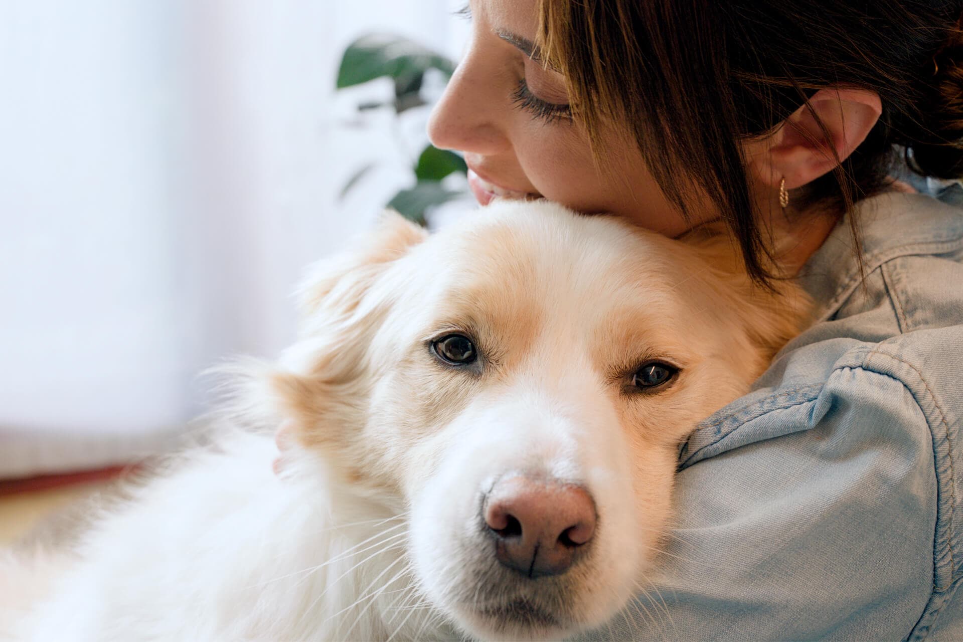 A DOG'S PERSPECTIVE ON GRATITUDE: THE LITTLE THINGS MATTER