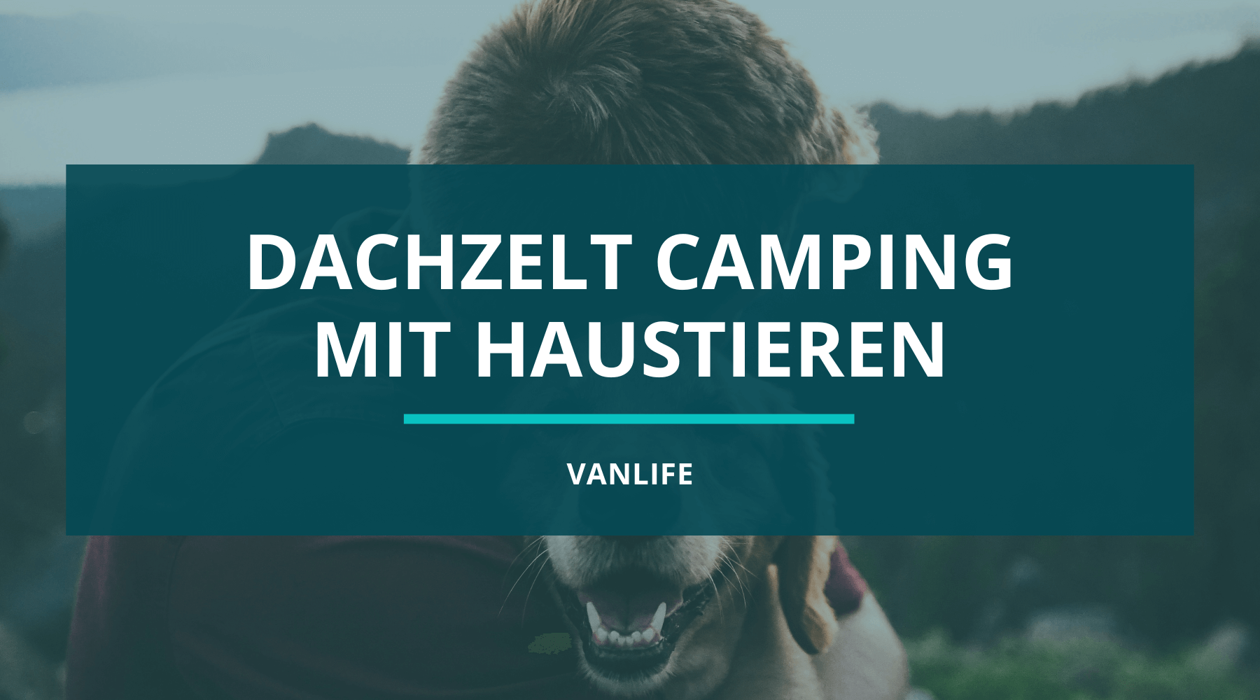 Dachzelt-Camping mit Haustieren: Dein tierischer Begleiter für dein kommendes Abenteuer