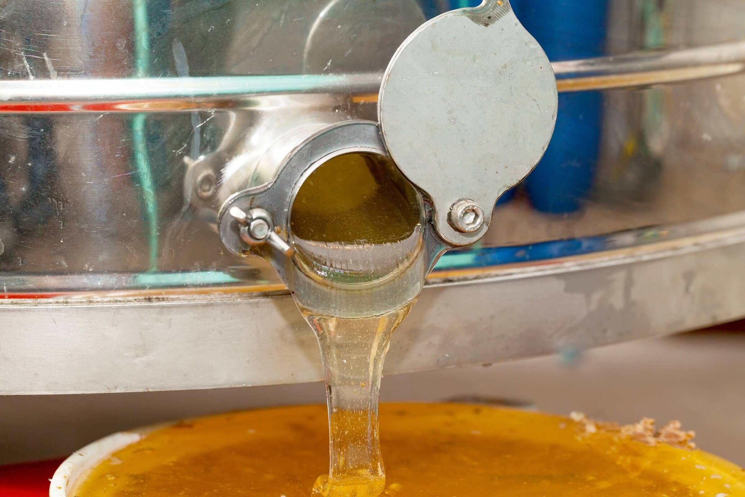 Steps in Harvesting Honey: A Guide for Beekeepers