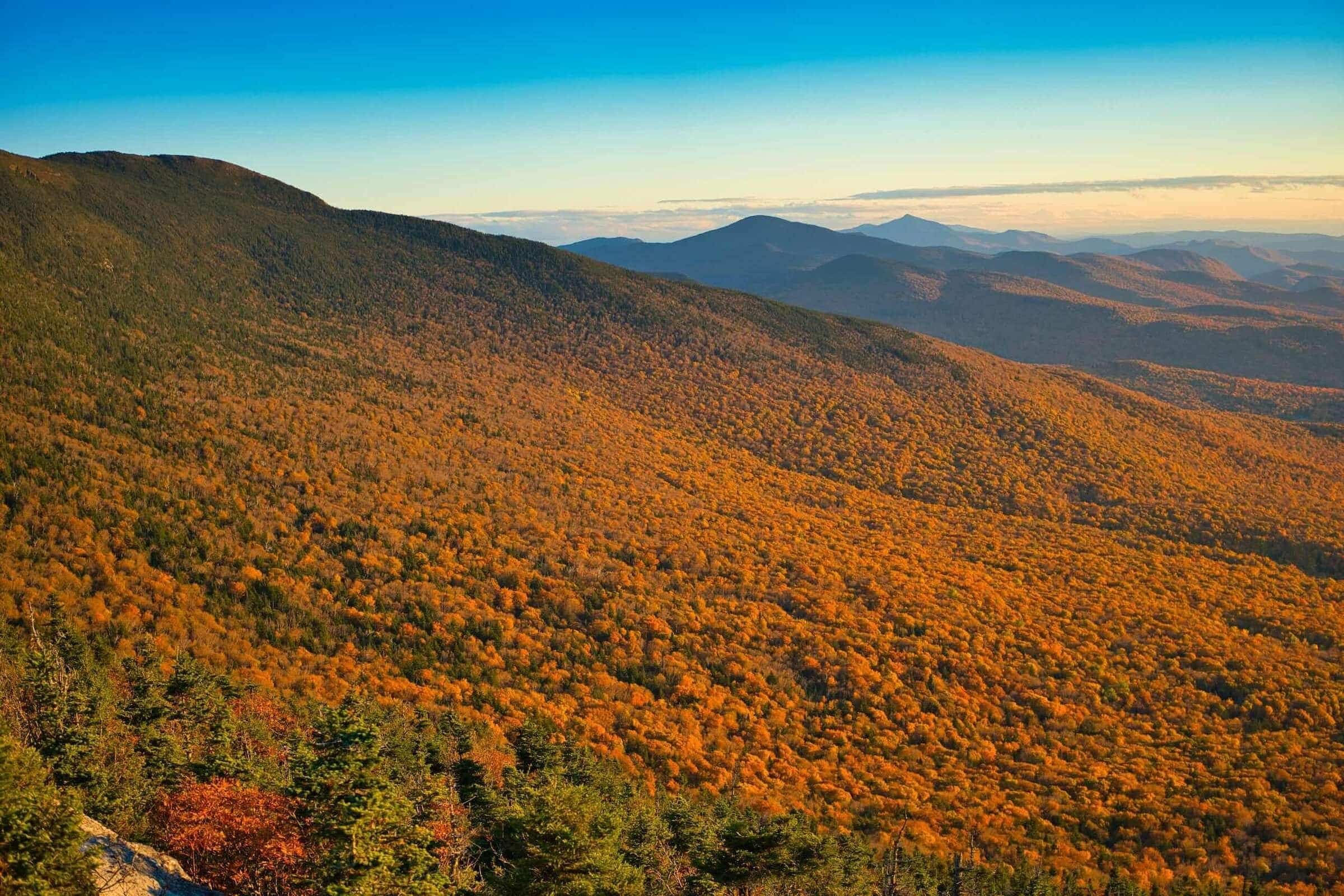 Mountain slope blanketed in orange fall foliage with distant peaks under a clear sky