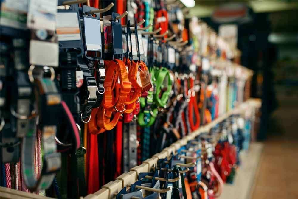 Which collar should my dog wear?