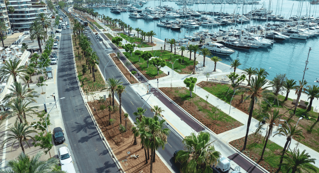The Quiet Revolution: How Palma’s 2026 Budget is Rewriting the Property Map