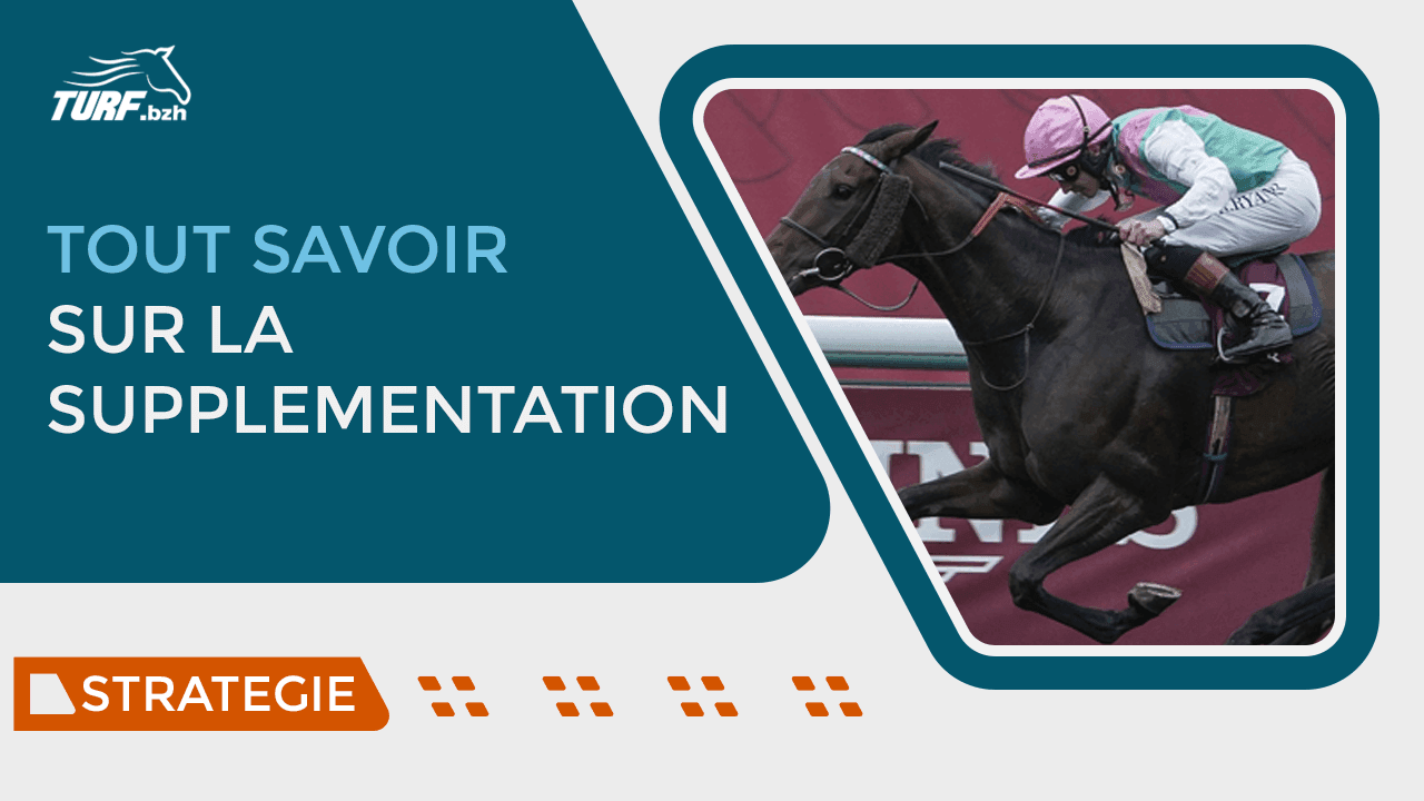 Cheval supplémenté : comment en tirer profit ?