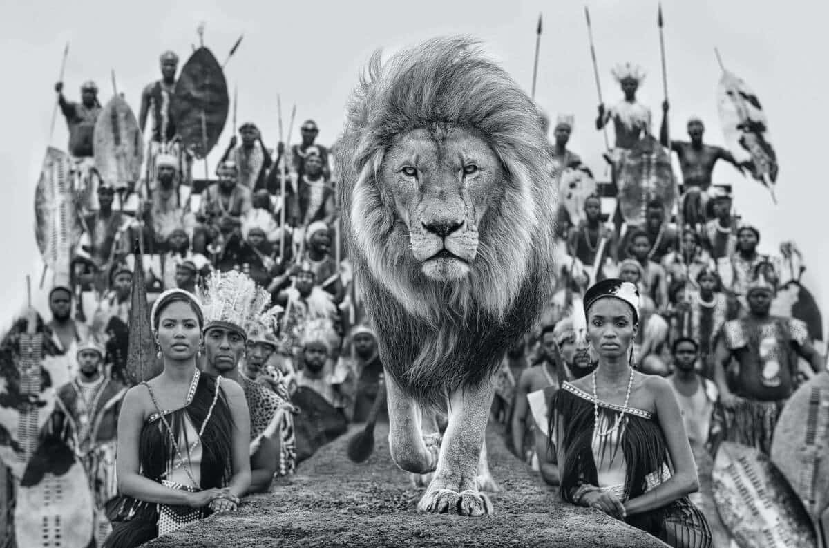 DAVID YARROW I New Release I Catwalk