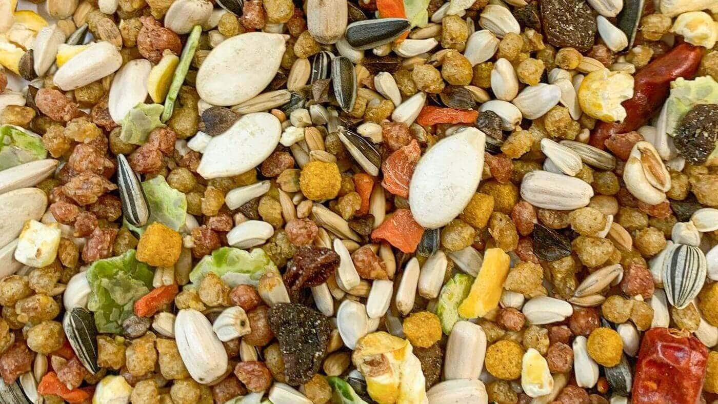 Sensible Seeds with Fruit & Veg Pellets for Small Parrots