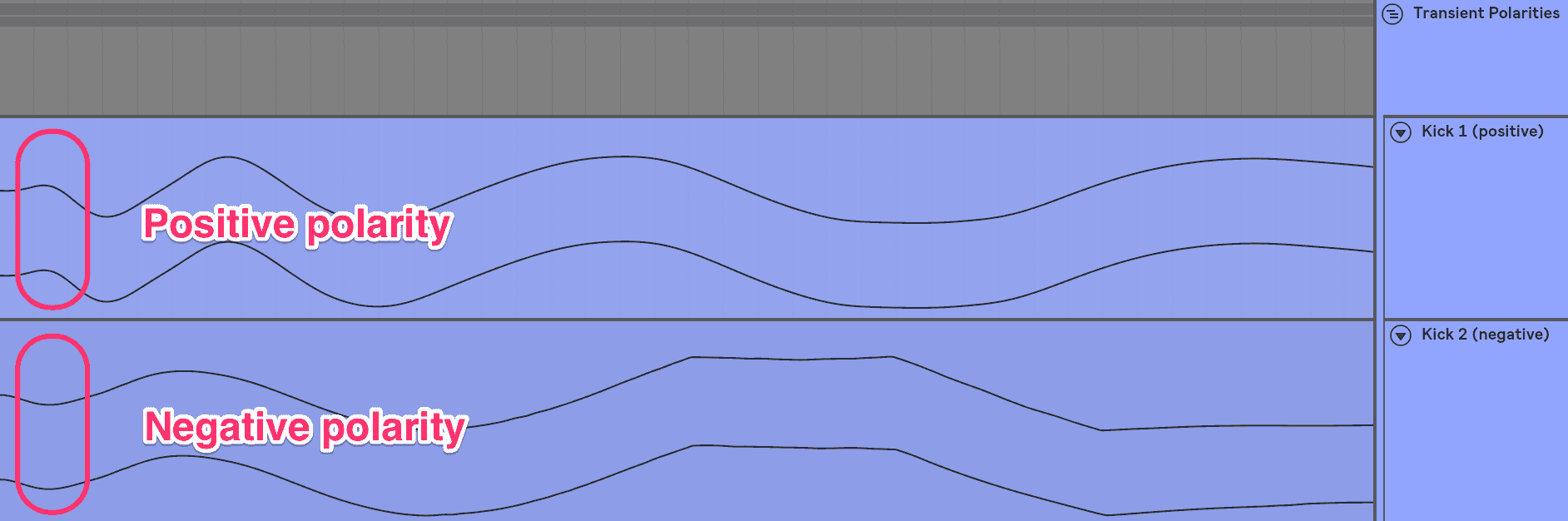 Transient polarities.png