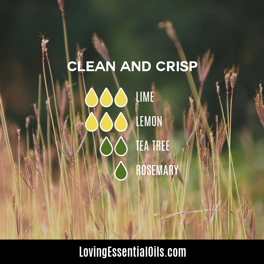 Clean and Crisp diffuser blend with lime, lemon, tea tree and rosemary