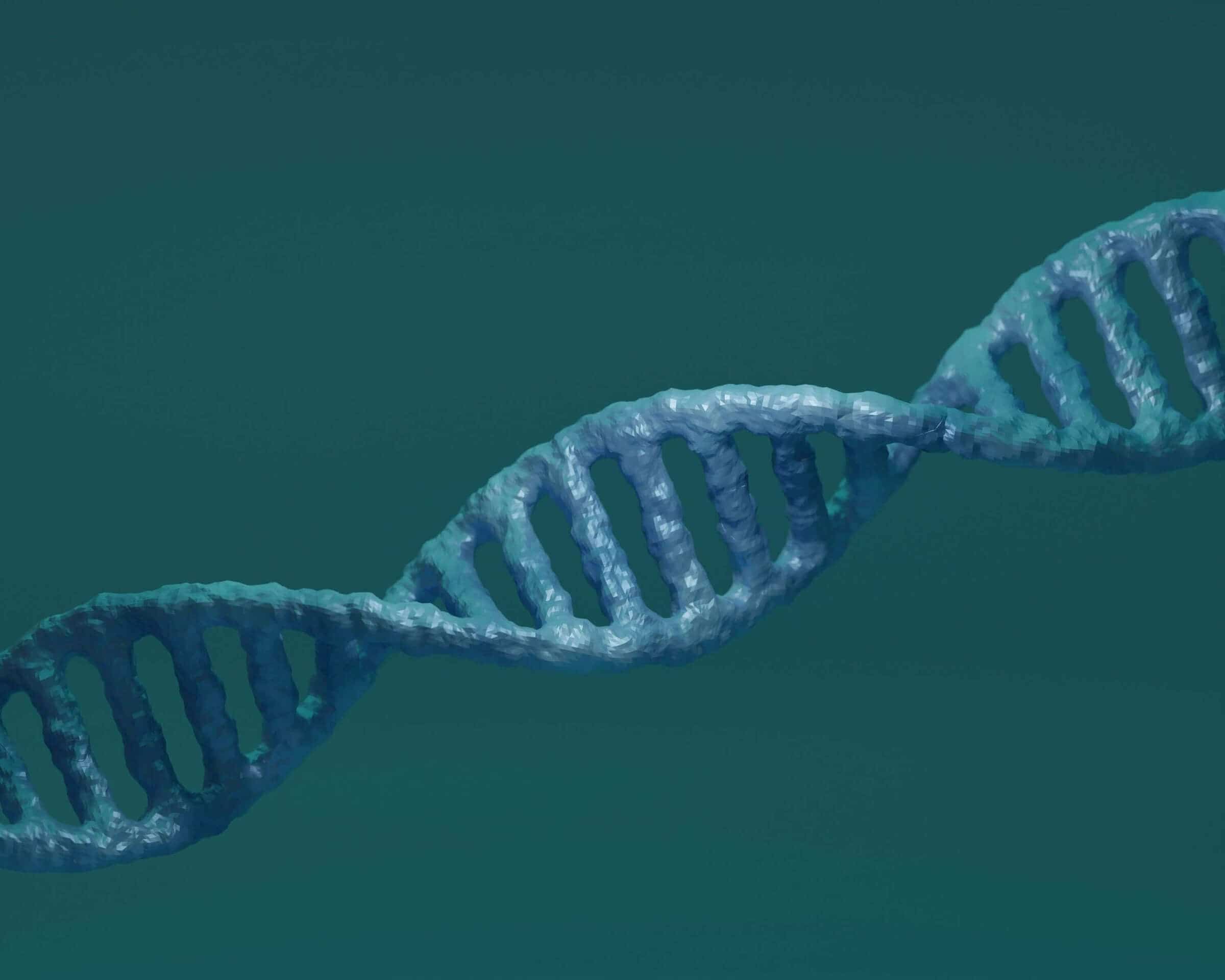 Sperm DNA Fragmentation Index Testing - Who Should Do?