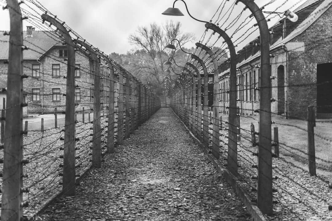 The Holocaust Examined
