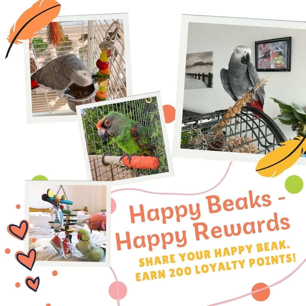 Parrot Photo Rewards: Join Happy Beaks And Earn 200 Loyalty Points