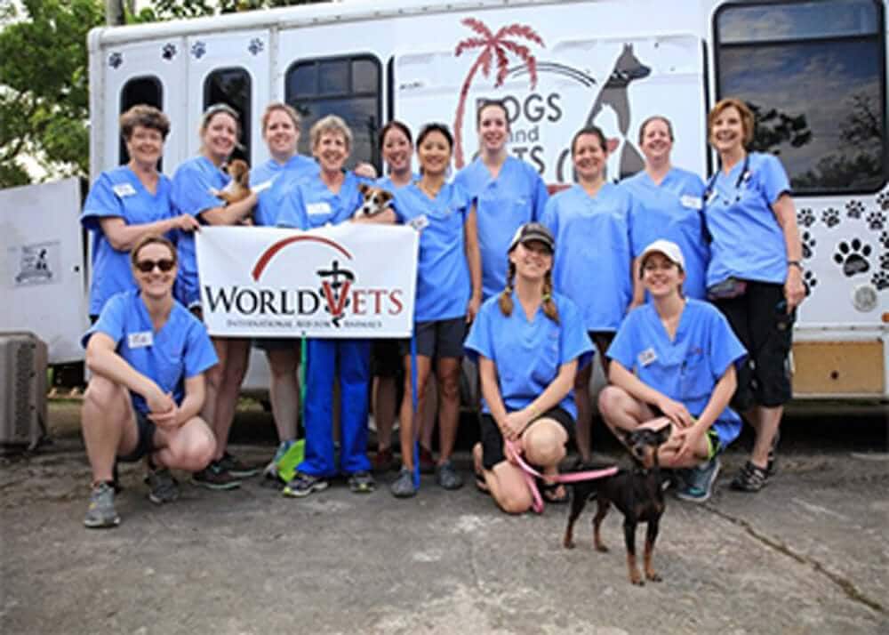 Help Us Pick Our Next Paw it Forward Partner