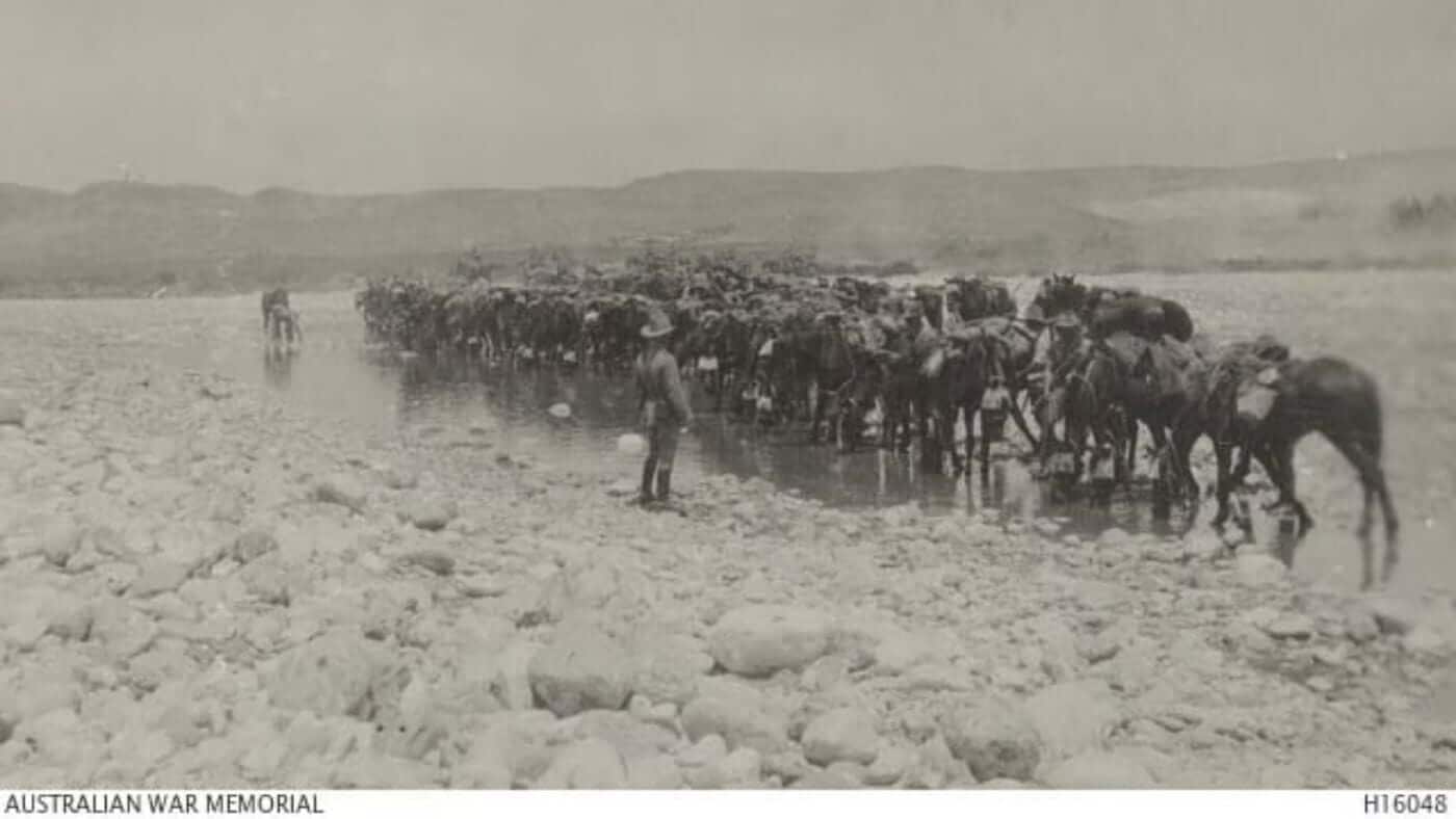 Bold and Loyal: The Australian Light Horse