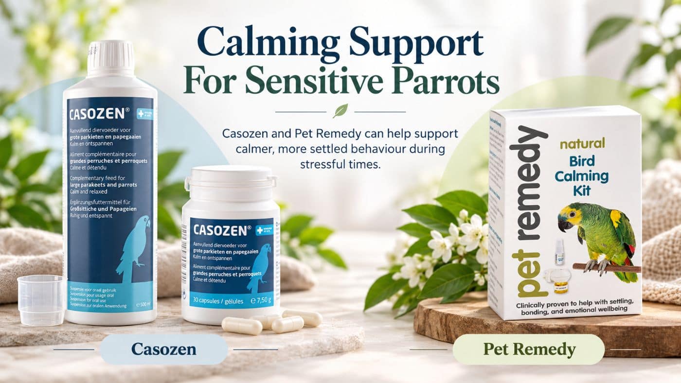 Casozen liquid and capsules alongside Pet Remedy Bird Calming Kit, offering calming support for stressed parrots alongside dietary improvements.