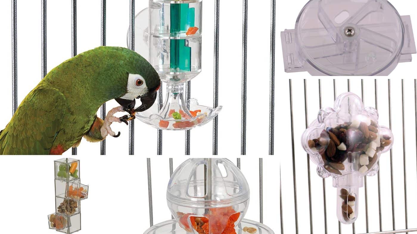 Most Popular Foraging Toys by Creative Foraging Systems